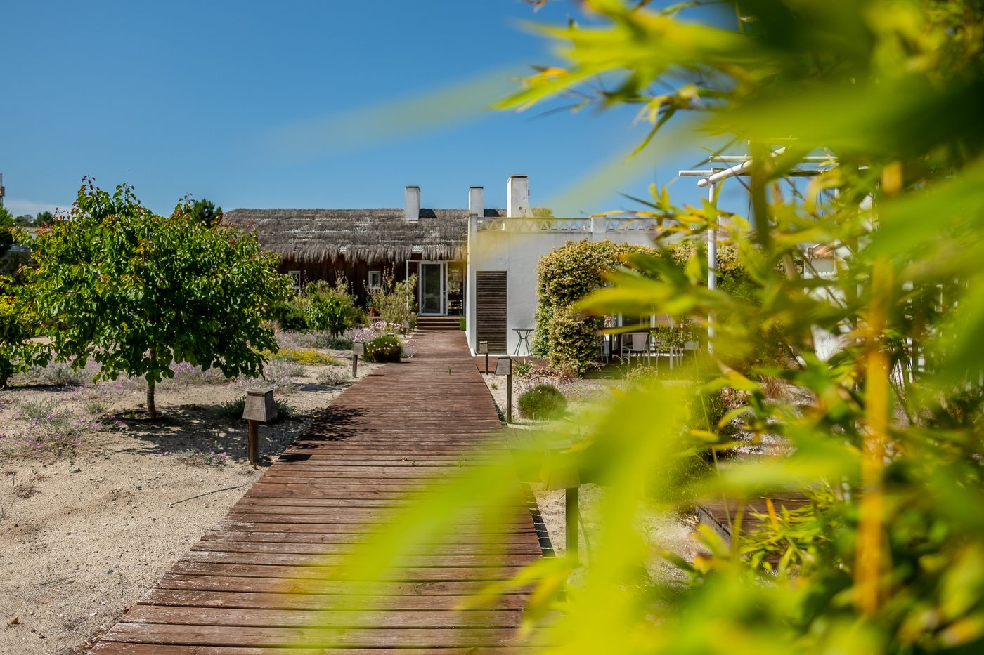 Passadiço de madeira entre as cabanas