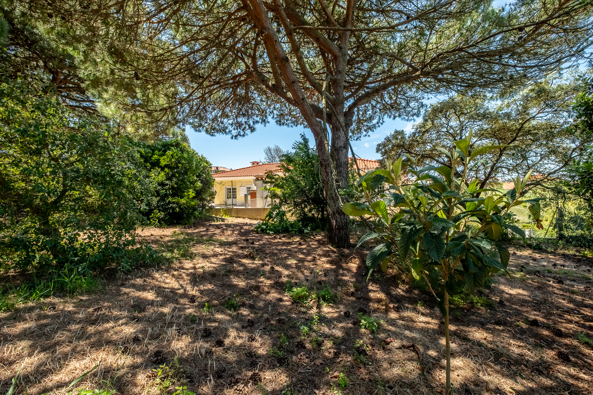 Exterior com jardim e candeeiro