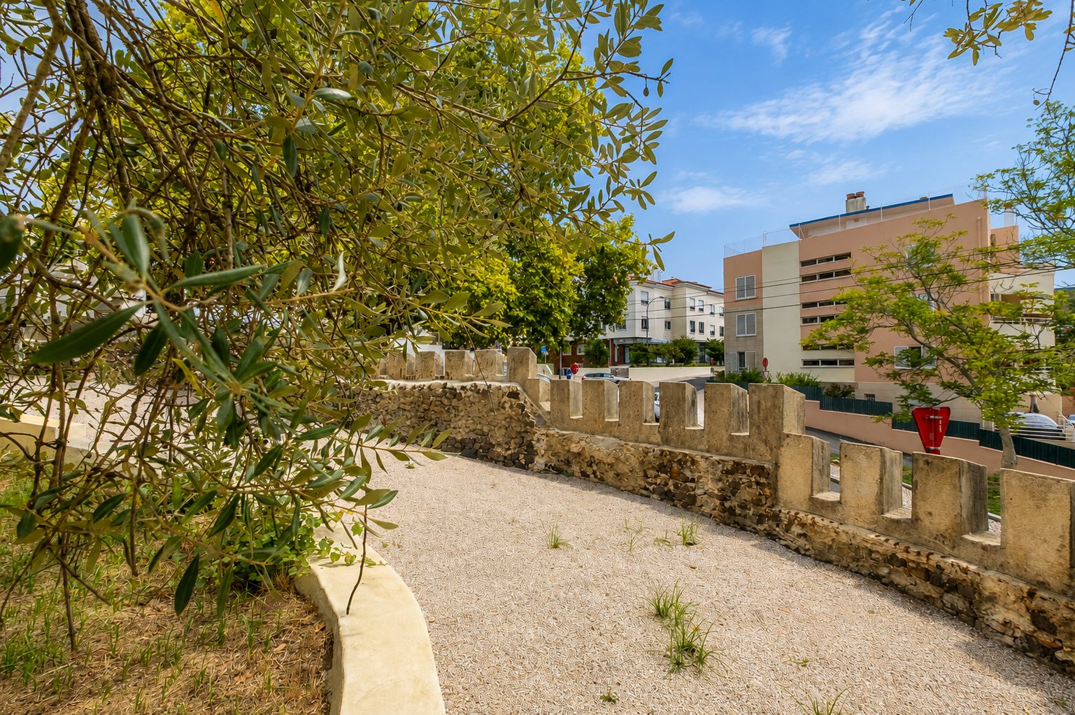 O Jardim Sul da Casa Branca, do outro lado da Avenida Tomás Ribeiro, com o muro em pedra e as oliveiras