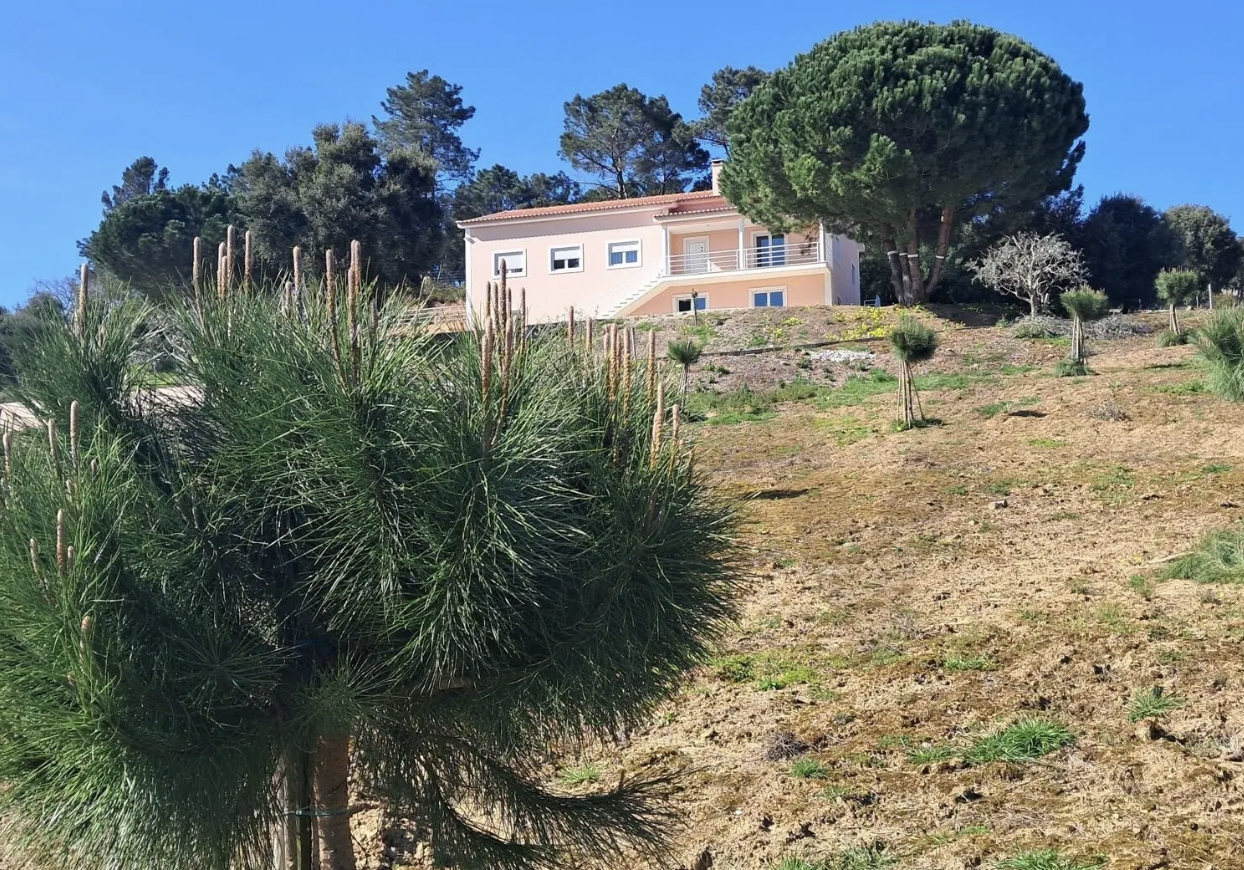 Moradia T4, terreno 4.572 m², Azueira · Livramento — Pedablios